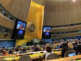 Varuh človekovih pravic Peter Svetina na zasedanju Konference držav pogodbenic Konvencije ZN o pravicah invalidov