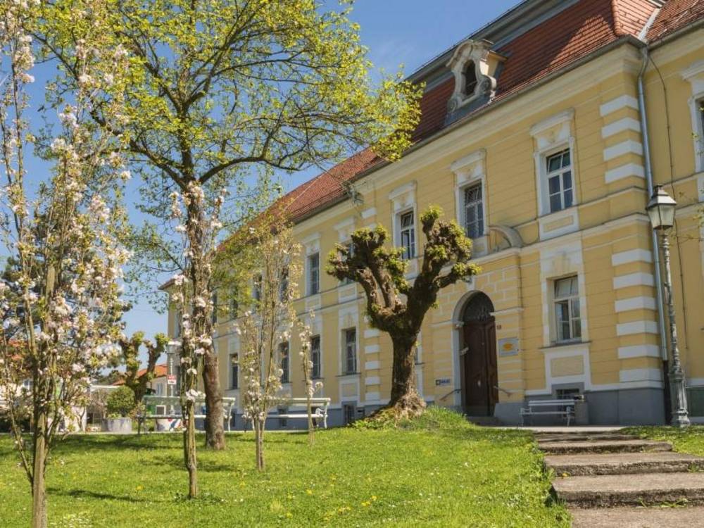 Psihiatrična bolnišnica Vojnik