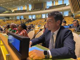 Varuh Svetina med razpravo na Konferenci držav pogodbenic Konvencije ZN o pravicah invalidov v New Yorku