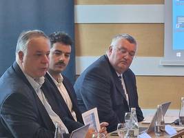 Peter Pavlin v razpravi